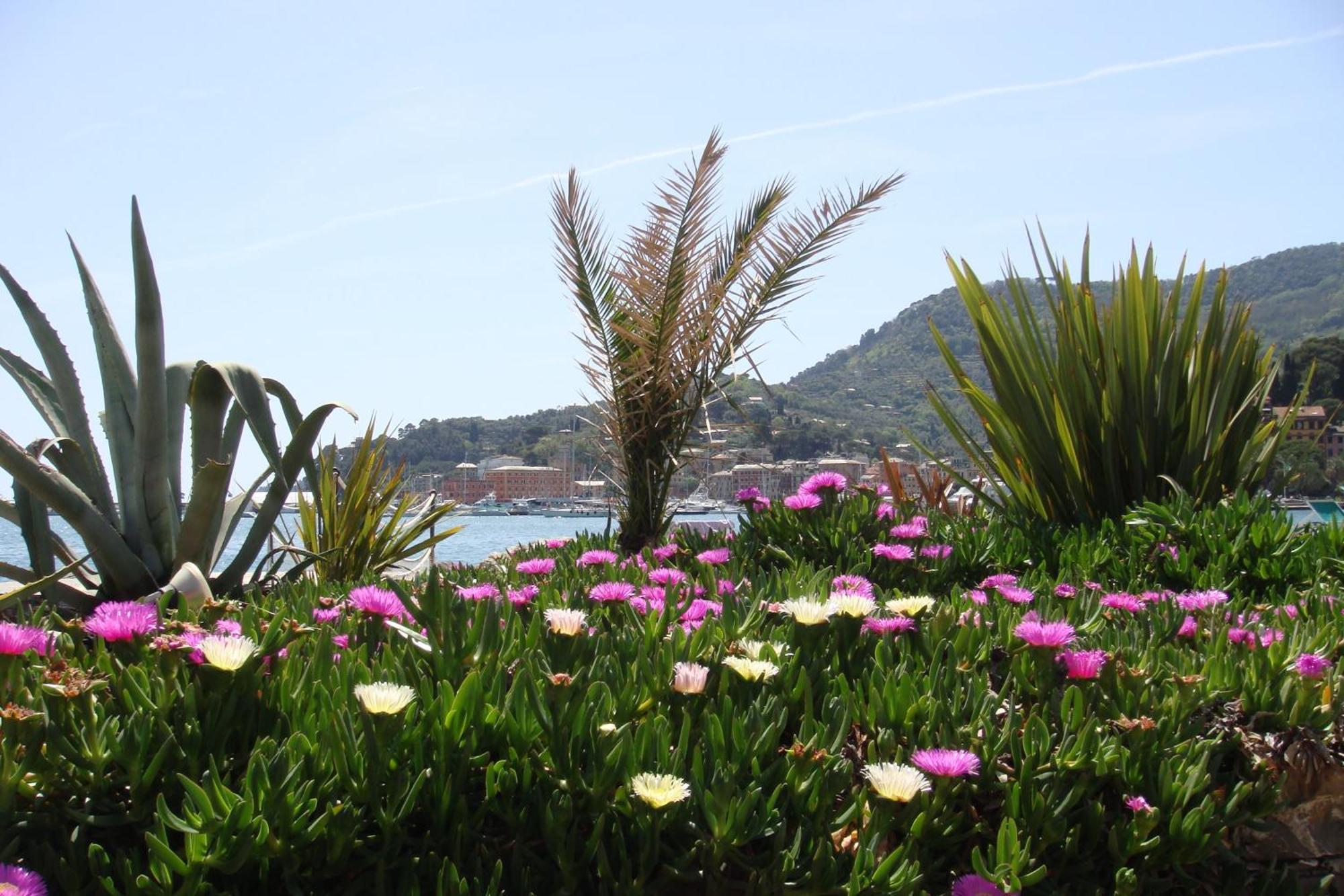 Hotel Helios Santa Margherita Ligure Bagian luar foto